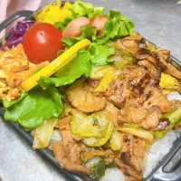 マルコメさんの大豆のお肉のお弁当もう1枚