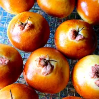 蝶々が飛んでる！|tamiさん