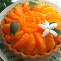 たんかんカスタードタルト