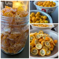 金柑ピール🍊　金柑仕事|とだともさん