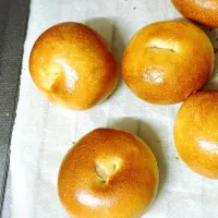 ベーグル|cocoaさん