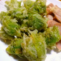 ふきのとうの天ぷら|はるみさん