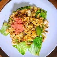 大豆のお肉で焼きうどん😆✨|ぽんすけさん