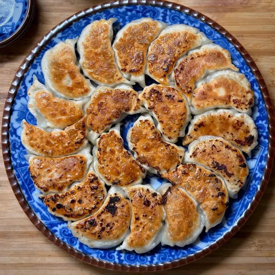 焼き餃子|まる(丸大豆)さん