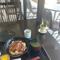 今日の昼ご飯　うなぎ丼@「食事処  のたね」さんin浜名湖ガーデンパーク　今日は浜名湖に遊びにきました。JR東海道線弁天島駅を下車、浜名湖のシンボル・赤鳥居を見た後、湖上の道を50分ほど歩いて浜名湖ガーデンパークにきました。かなり歩いたので、お腹ぺこぺこ。浜名湖といえば鰻、ということでうなぎ丼をいただきまーす😋|なびさん