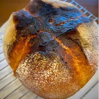 ハード系ブレッド焼き上がり〜|masaさん