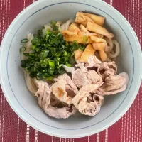 今日のお昼は徳島うどん