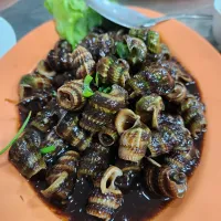 "Siput Sedut" one of sarawakian favorite seafood|HeyJudeさん