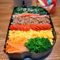 🌱🌱そぼろ弁当|ゆきさんさん