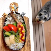 骨付きフランク弁当