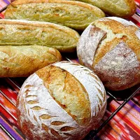 春よ恋☘️青汁入りフランスパン