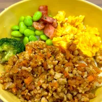 3/16そぼろ丼|chiiiiikaさん