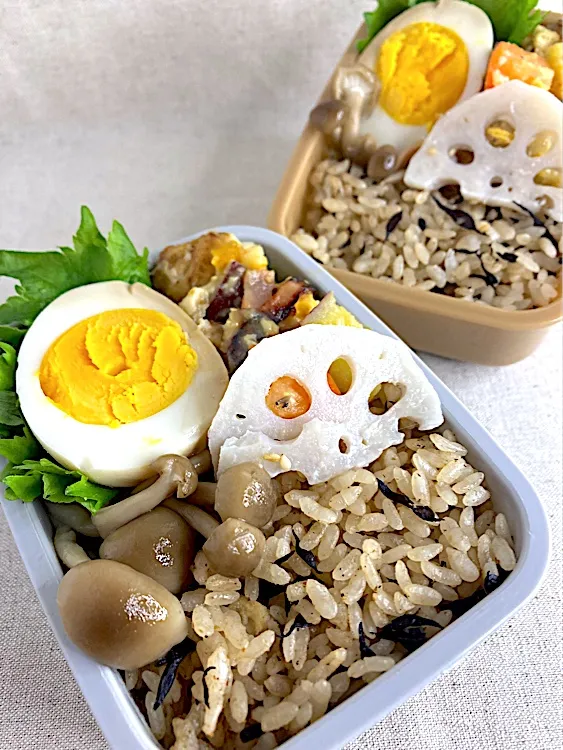 手のひらサイズの夫婦弁当🍱|ゆか｜味決まる冷凍作り置き弁当さん