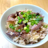 ホタルイカの炊き込みご飯|CHIZUさん
