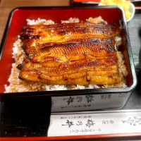 京都 西陣近くの鰻屋さん「梅の井」|Hiro Yanさん