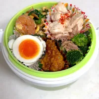 タンパク質弁当|さにー☆ミさん