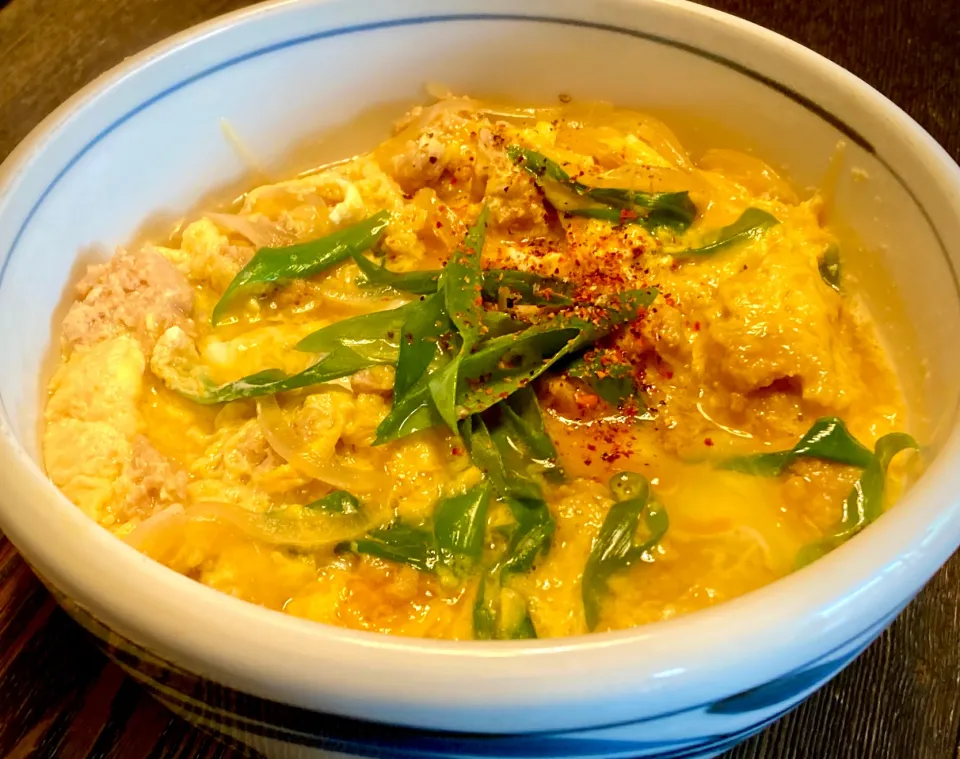 義務投稿⑦  大豆のお肉ブロックタイプで             『親子丼？他人丼？どっち？』|mottoさん