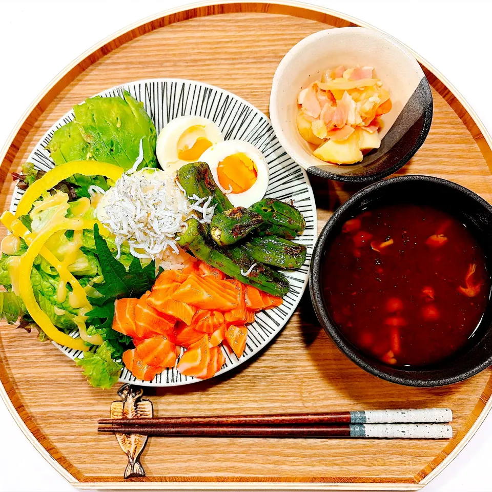 🐟夜【ワンプレートご飯：コストコサーモン】🐟|Laniさん