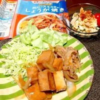 豚バラと厚揚げの生姜焼き✨️