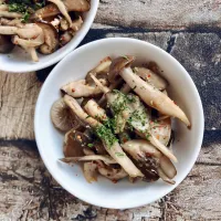 きのこのティガニア