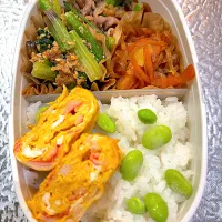 20260315私の弁当|なかみほさん