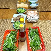 今夜はライスペーパー| pranzoさん