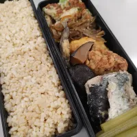 3/22 真心いきいき弁当| まごころいきいきさん