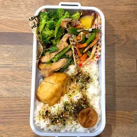 春休みも頑張れ！野菜たっぷり弁当|さにー☆ミさん