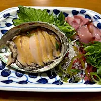鮑のお刺身と烏賊の塩辛❗️(●´ω｀●)✨