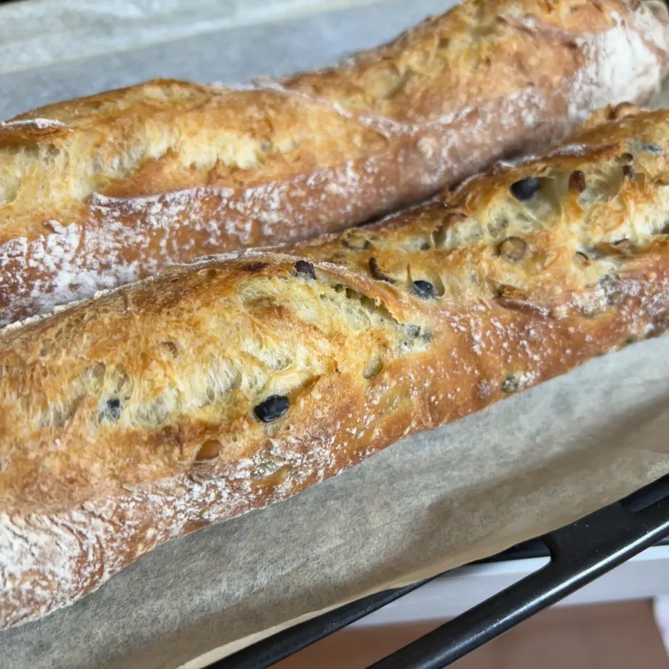 お豆のバケット🥖|みゆぞうさん