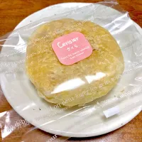 桜パイ🌸|まいりさん