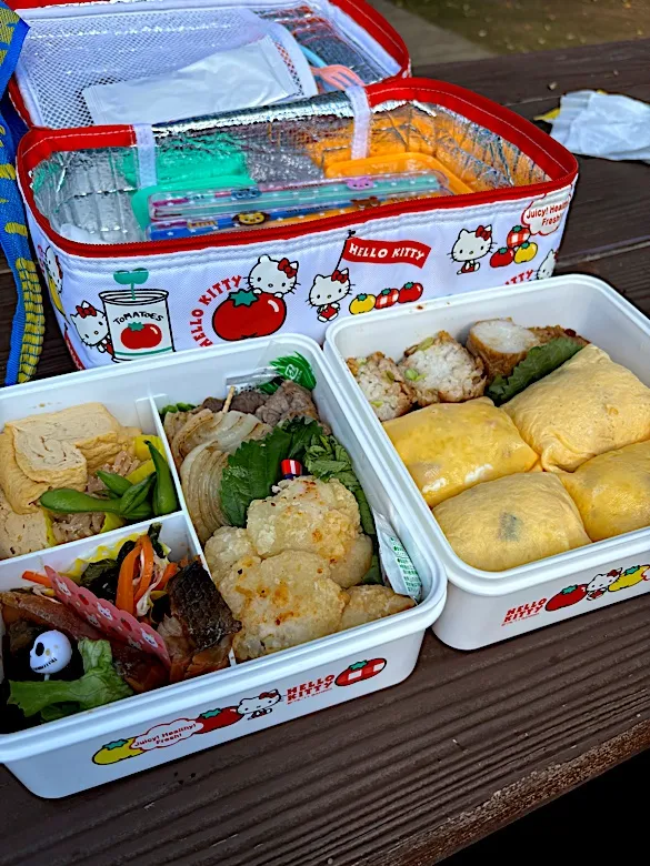 花見弁当|もーやんさん