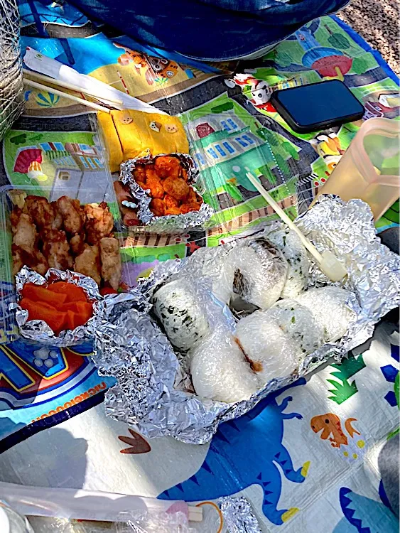 妹特製のお花見🌸お弁当🍱|さくたえさん