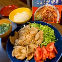 モニター♪ メインディップ 豚ロース玉ねぎのしょうが焼き|まーさん