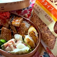 大豆のお肉入り卵焼き弁当|なつさん