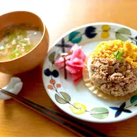 大豆のお肉そぼろご飯|manomechan@yahoo.co.jpさん