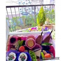 2026年桜満開 お花見弁当|シュトママさん