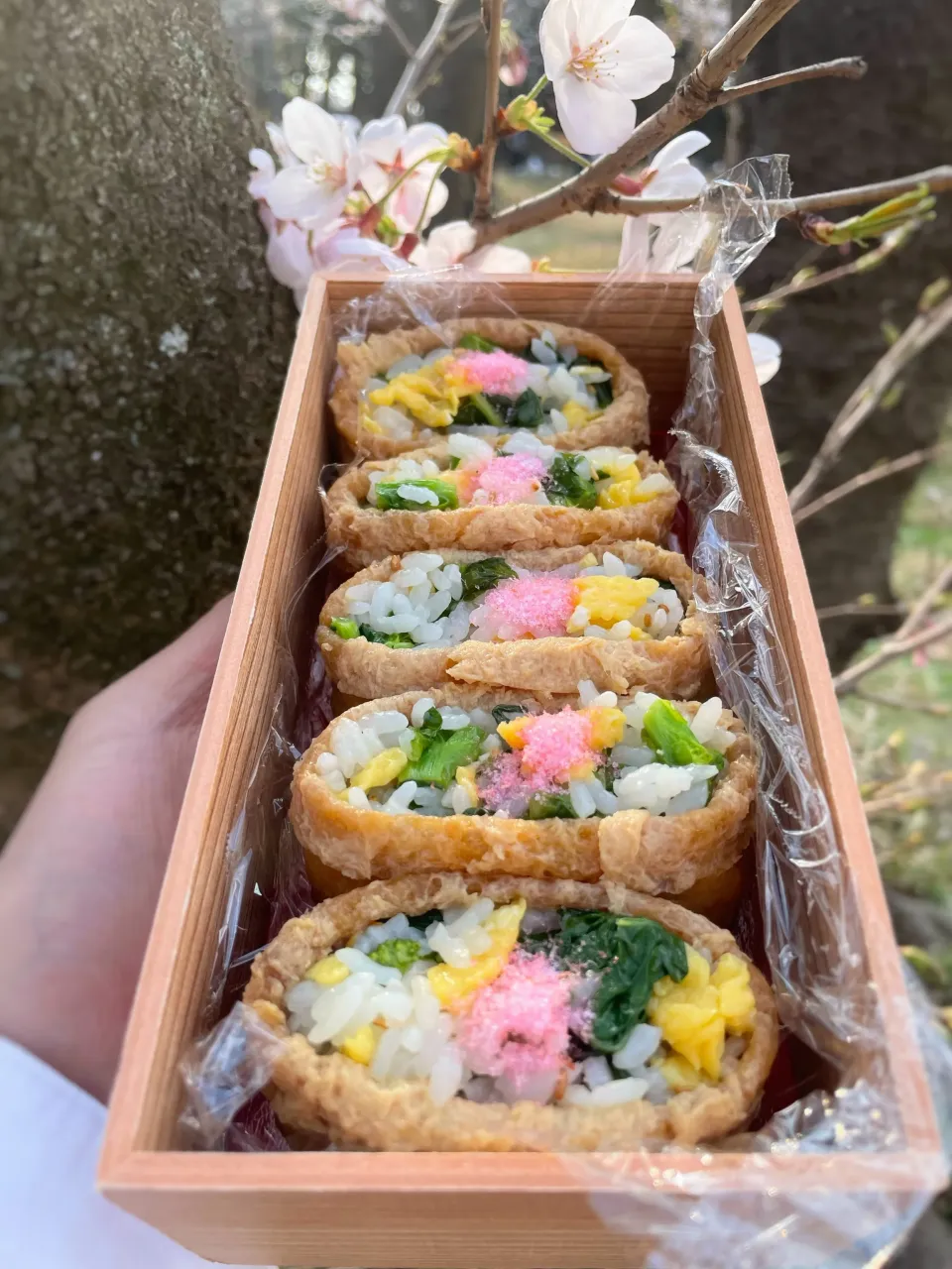 🌸菜の花いなり🌸|アッチさん