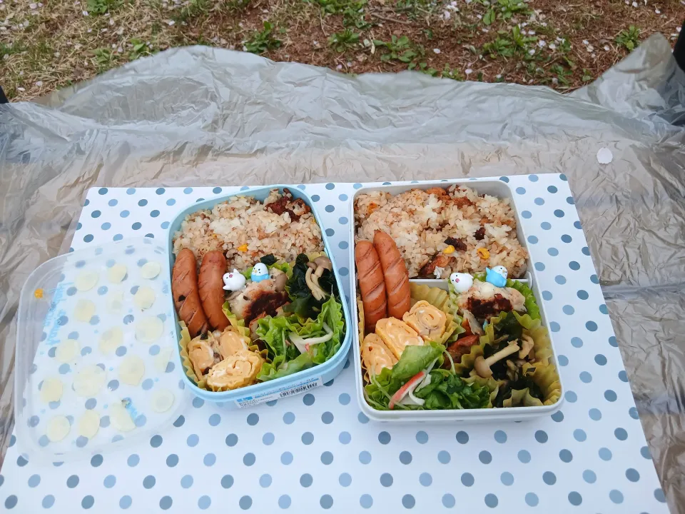 お花見弁当とイルミ( *´艸)|ぽんすけさん