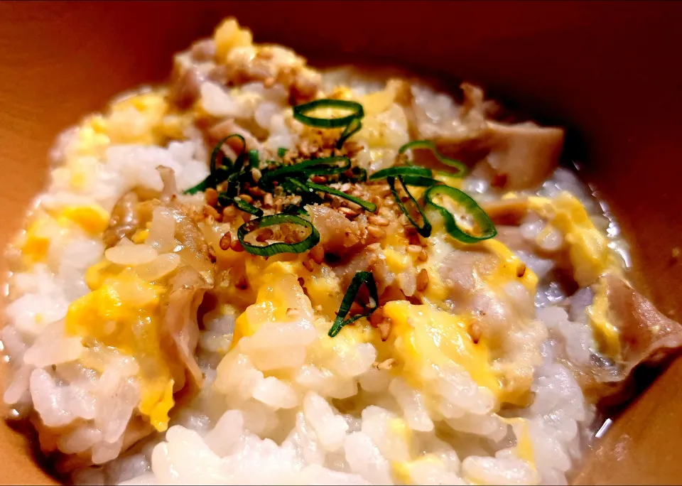 やさしさいっぱい鶏雑炊|なつさん