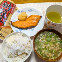 3/31のお昼ご飯　塩鮭としらすでごはんがすすむ😋|卯月さん