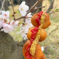 🌸花よりアメリカンドッグ🍡|アッチさん