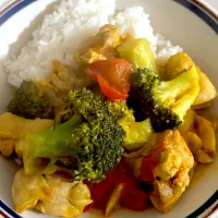 冷凍ストック大作戦の鶏ももトマトのタンドリー|マーブルさん