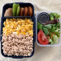 大好きな鳥そぼろ弁当&菊芋|ひぐっちさん