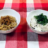 大豆のお肉とれんこんのきんぴら　　　　　　　れんこんのシソサラダ