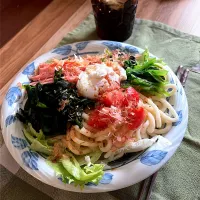 リクエストの冷たいうどん　　サラダうどん| renharuruさん