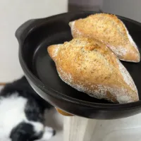 愛犬用　グラハムクッペ|みゆぞうさん