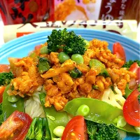 太麺に大豆肉タコミート擬き|ミキさん