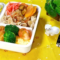 今日のお弁当 26/04/02|しげさん
