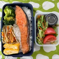 焼鮭弁当|ひぐっちさん